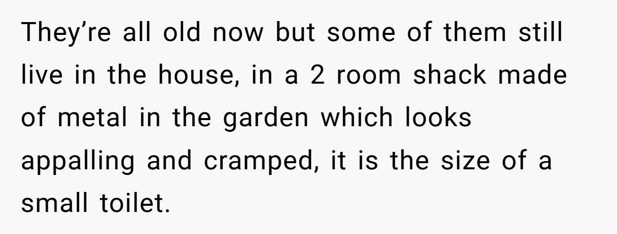 She Called Out Her Mom’s Privilege and Made Her Cry, Now She’s Questioning How She Said It They’re all old now but some of them still live in the house, in a 2 room shack made of metal in the garden which looks appalling and cramped, it...