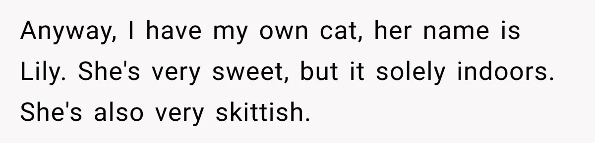 Anyway, I have my own cat, her name is Lily. She's very sweet, but it solely indoors. She's also very skittish.