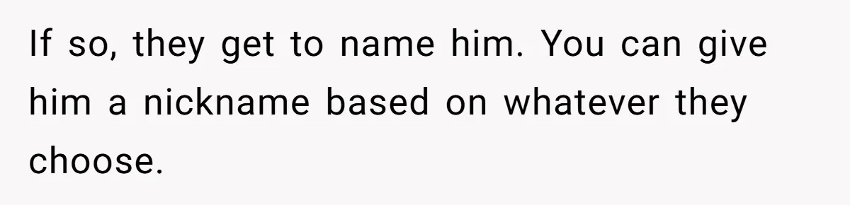 If so, they get to name him. You can give him a nickname based on whatever they choose.