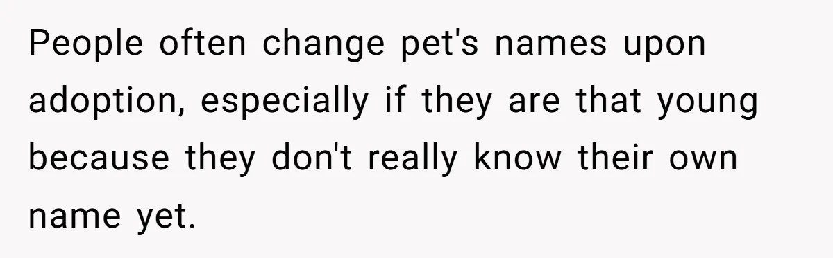 People often change pet's names upon adoption, especially if they are that young because they don't really know their own name yet.
