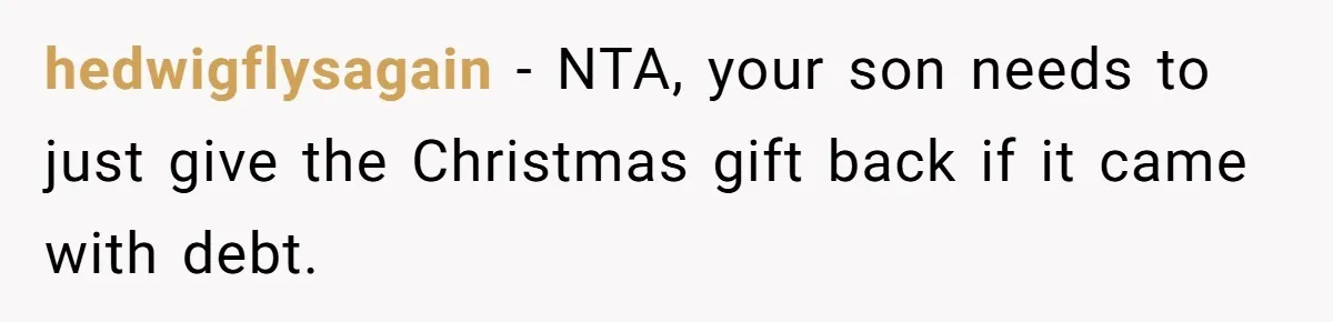 Divorced Mom Tells Son He Owes Nothing For Surprise Christmas Gift From Dad hedwigflysagain − NTA, your son needs to just give the Christmas gift back if it came with debt.