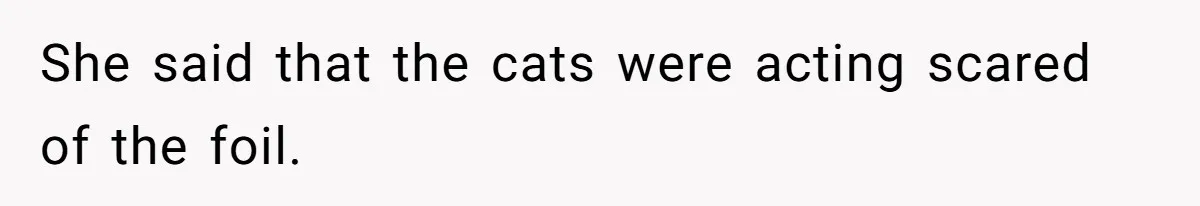 She said that the cats were acting scared of the foil.