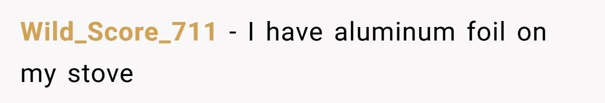Wild_Score_711 − I have aluminum foil on my stove