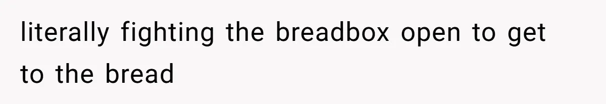 literally fighting the breadbox open to get to the bread