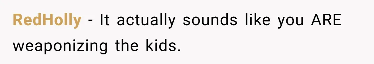 Wife Claims Weaponized Parenting After Husband Refuses To Pay Support To The Person Who Barely Raises The Kids RedHolly − It actually sounds like you ARE weaponizing the kids.