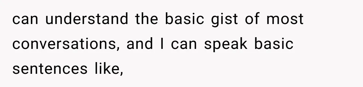 can understand the basic gist of most conversations, and I can speak basic sentences like,