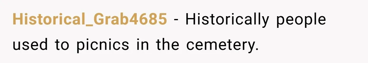 A Post Surgery Snack In A Cemetery Leads To An Unexpected Moral Lecture From A Stranger Historical_Grab4685 − Historically people used to picnics in the cemetery.