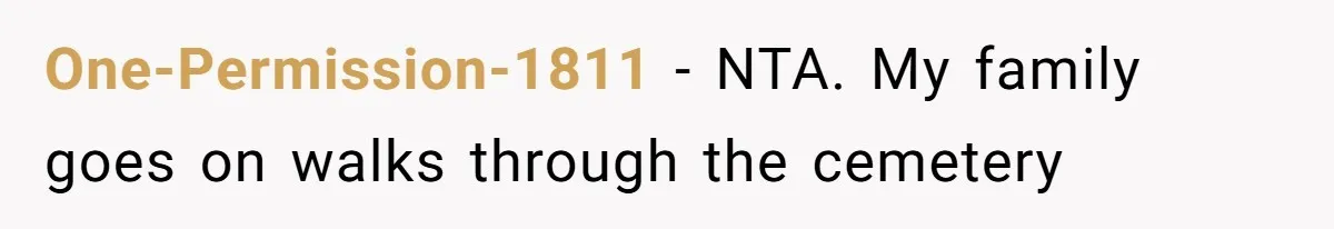 A Post Surgery Snack In A Cemetery Leads To An Unexpected Moral Lecture From A Stranger One-Permission-1811 − NTA. My family goes on walks through the cemetery