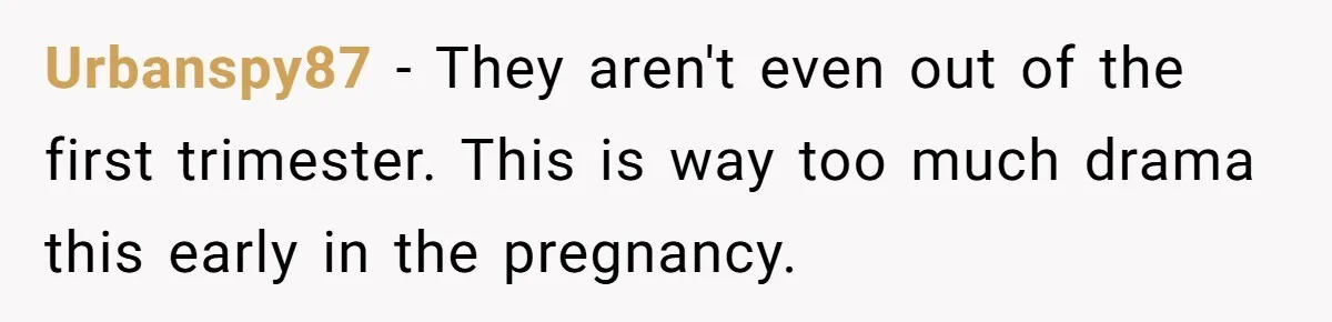She Drove Her Pregnant Sister Everywhere, Until a Baby Shower Invite Drew the Line Urbanspy87 − They aren't even out of the first trimester. This is way too much drama this early in the pregnancy.