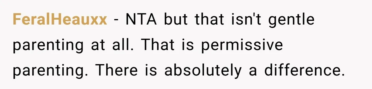 FeralHeauxx − NTA but that isn't gentle parenting at all. That is permissive parenting. There is absolutely a difference.