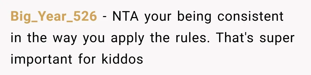 Big_Year_526 − NTA your being consistent in the way you apply the rules. That's super important for kiddos