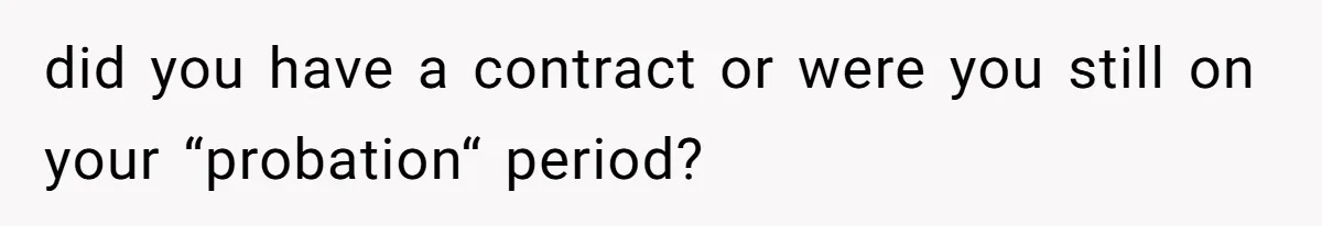 Man Loses His Job After Making A Joke About His Boss’s Daughter’s Drawing did you have a contract or were you still on your “probation“ period?