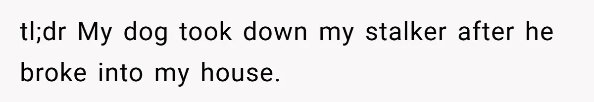 tl;dr My dog took down my stalker after he broke into my house.