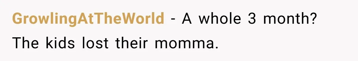 Dad Moves On After Wife’s Death, But Is He Wrong For Remodeling The Home And Excluding His Stepchildren? GrowlingAtTheWorld − A whole 3 month? The kids lost their momma.