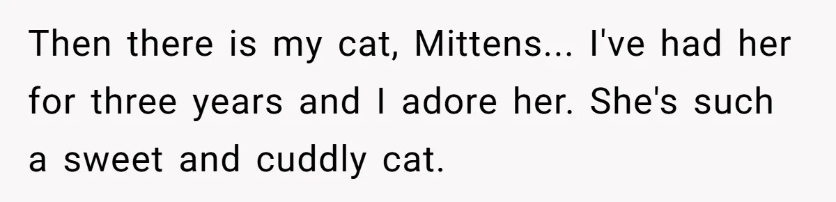 This Man’s Vegan Girlfriend Wants Him To Get Rid Of His Cat, What Should He Do? Then there is my cat, Mittens... I've had her for three years and I adore her. She's such a sweet and cuddly cat.