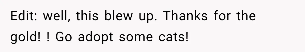 This Man’s Vegan Girlfriend Wants Him To Get Rid Of His Cat, What Should He Do? Edit: well, this blew up. Thanks for the gold! ! Go adopt some cats!