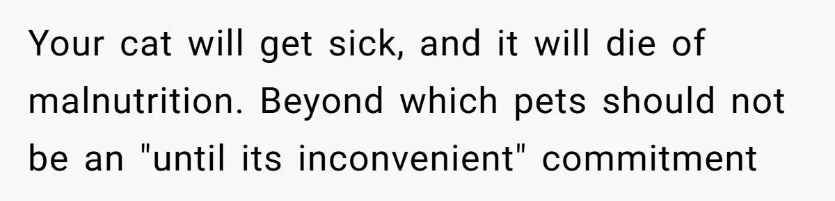 This Man’s Vegan Girlfriend Wants Him To Get Rid Of His Cat, What Should He Do? Your cat will get sick, and it will die of malnutrition. Beyond which pets should not be an "until its inconvenient" commitment