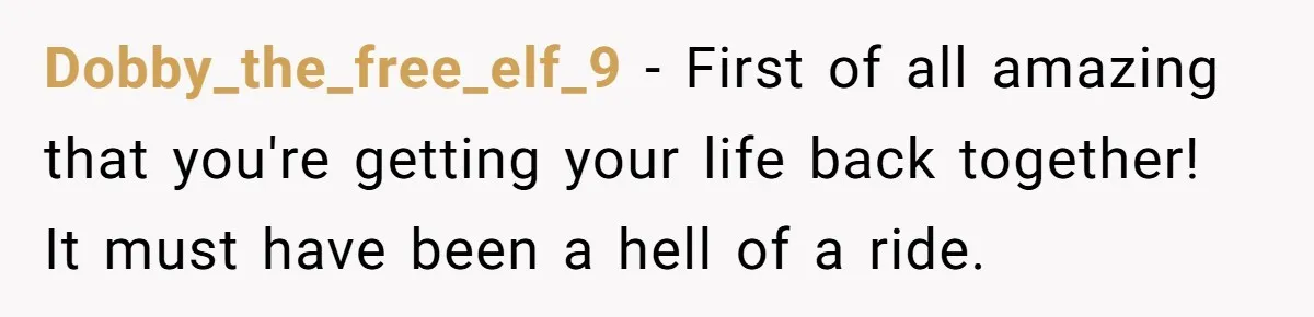 Dobby_the_free_elf_9 − First of all amazing that you're getting your life back together! It must have been a hell of a ride.