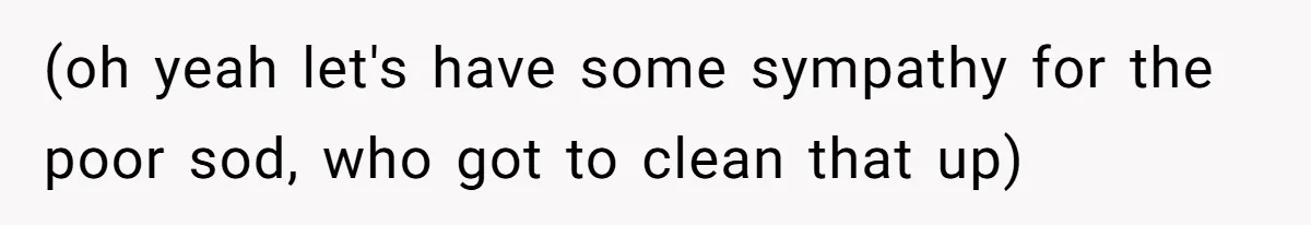 (oh yeah let's have some sympathy for the poor sod, who got to clean that up)