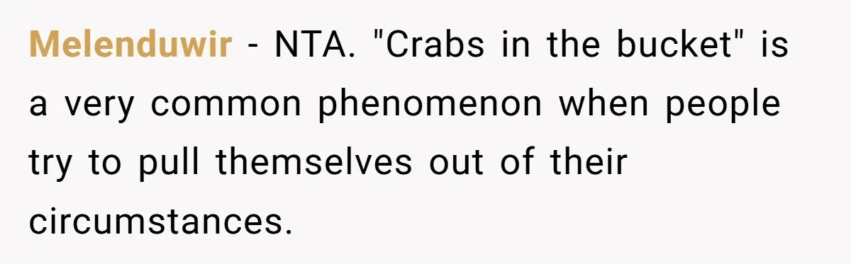 A Man Refused to Let His Family Move Into His Empty Dream Home, and Now They’re Calling Him Selfish Melenduwir − NTA. "Crabs in the bucket" is a very common phenomenon when people try to pull themselves out of their circumstances.