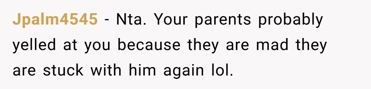 Man Gave His Brother A Place To Stay, Then Kicked Him Out For Flirting With His Wife Jpalm4545 − Nta. Your parents probably yelled at you because they are mad they are stuck with him again lol.