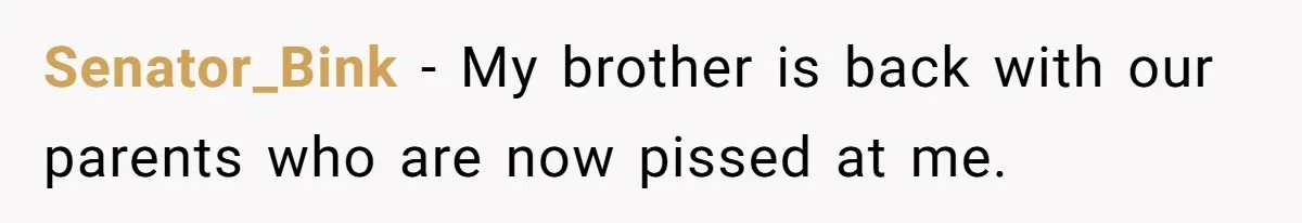 Man Gave His Brother A Place To Stay, Then Kicked Him Out For Flirting With His Wife Senator_Bink − My brother is back with our parents who are now pissed at me.