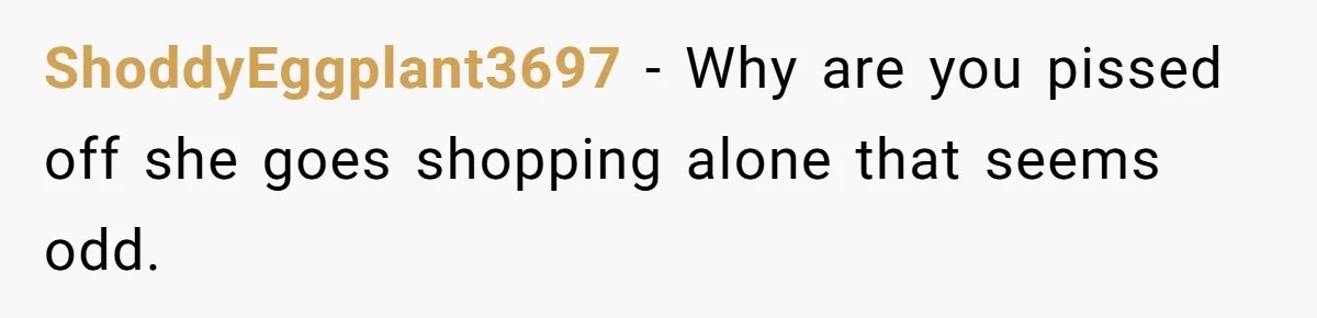 Woman Considers Telling Her Husband’s Friend To Stay Out Of Their Home Gym After They Used Their Gym Equipment Without Asking ShoddyEggplant3697 − Why are you pissed off she goes shopping alone that seems odd.
