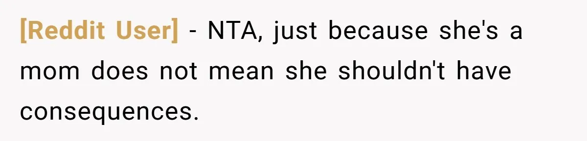 [Reddit User] − NTA, just because she's a mom does not mean she shouldn't have consequences.