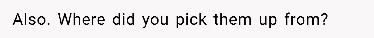 Also. Where did you pick them up from?