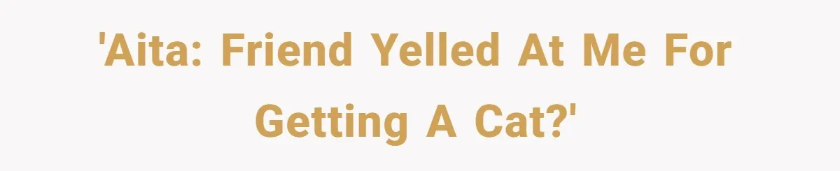 'AITA: Friend yelled at me for getting a cat?'