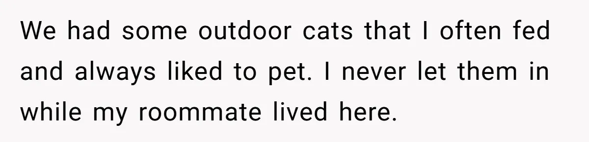 We had some outdoor cats that I often fed and always liked to pet. I never let them in while my roommate lived here.