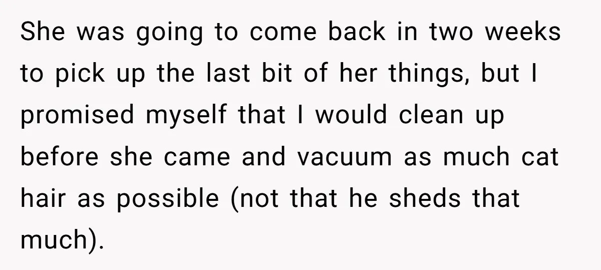 She was going to come back in two weeks to pick up the last bit of her things, but I promised myself that I would clean up before she came...