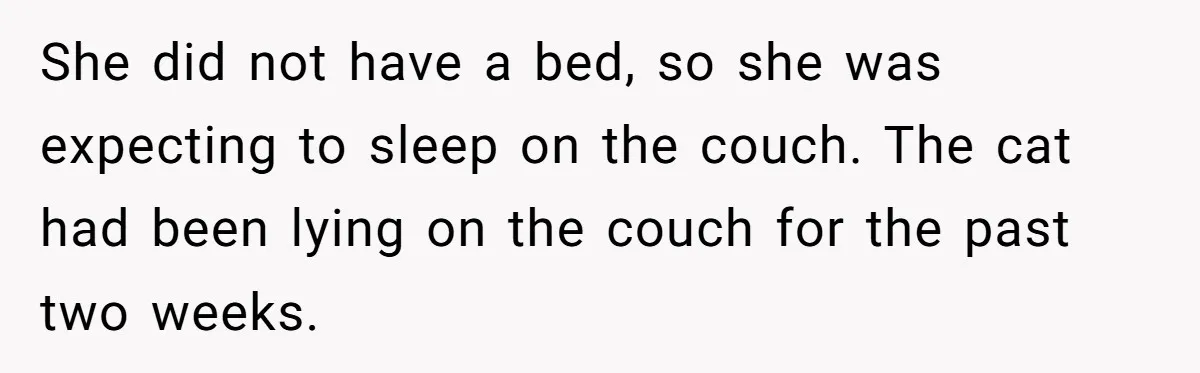 She did not have a bed, so she was expecting to sleep on the couch. The cat had been lying on the couch for the past two weeks.