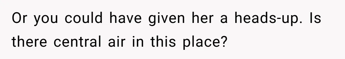 Or you could have given her a heads-up. Is there central air in this place?