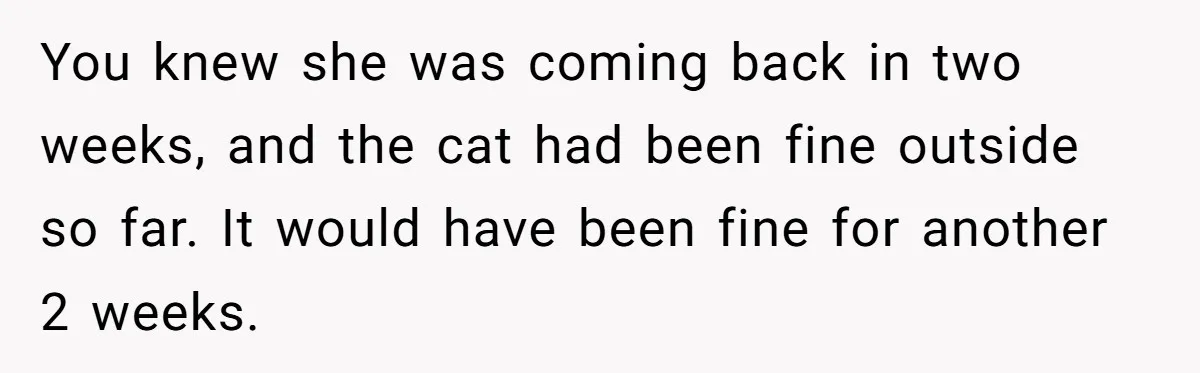 You knew she was coming back in two weeks, and the cat had been fine outside so far. It would have been fine for another 2 weeks.