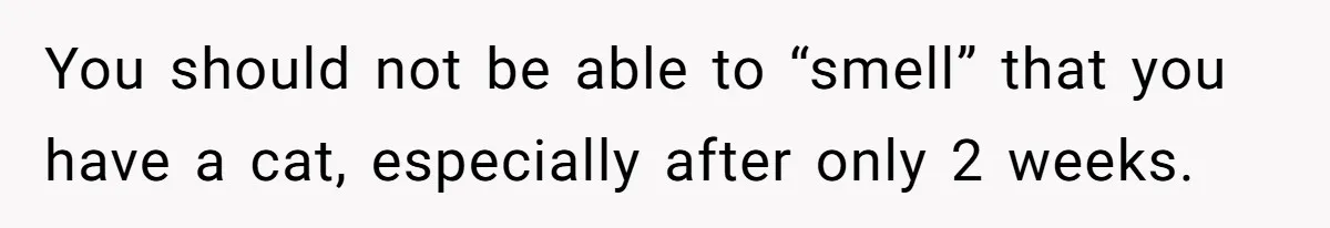 You should not be able to “smell” that you have a cat, especially after only 2 weeks.