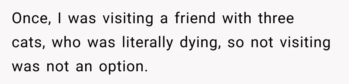 Once, I was visiting a friend with three cats, who was literally dying, so not visiting was not an option.