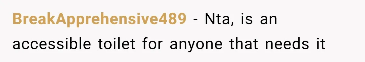 He Used the Accessible Toilet for a Condition You Can’t See, and Got Called Out for It BreakApprehensive489 − Nta, is an accessible toilet for anyone that needs it