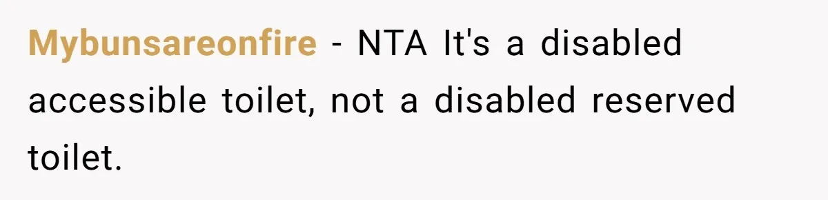 He Used the Accessible Toilet for a Condition You Can’t See, and Got Called Out for It Mybunsareonfire − NTA It's a disabled accessible toilet, not a disabled reserved toilet.