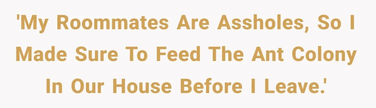 'My roommates are assholes, so I made sure to feed the ant colony in our house before I leave.'