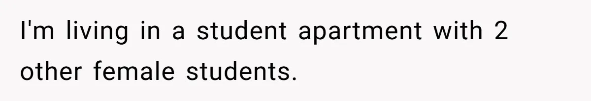 I'm living in a student apartment with 2 other female students.