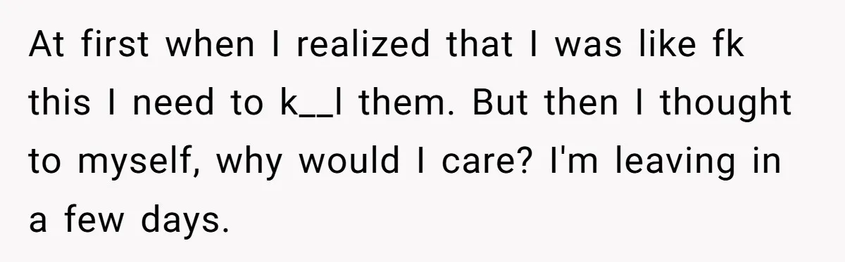 At first when I realized that I was like fk this I need to k__l them. But then I thought to myself, why would I care? I'm leaving in a...