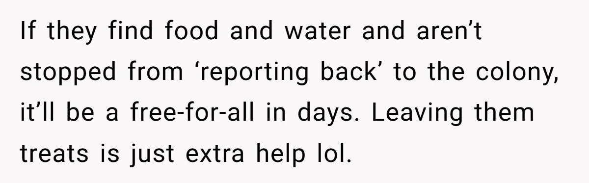 If they find food and water and aren’t stopped from ‘reporting back’ to the colony, it’ll be a free-for-all in days. Leaving them treats is just extra help lol.