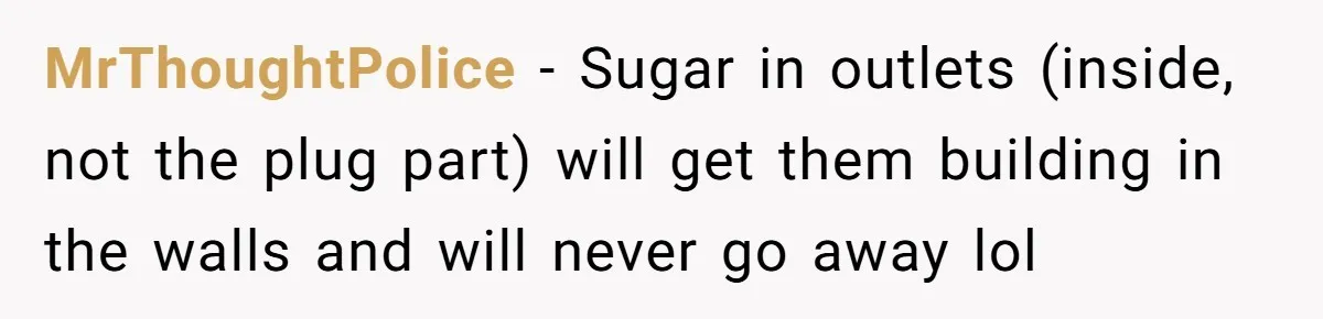 MrThoughtPolice − Sugar in outlets (inside, not the plug part) will get them building in the walls and will never go away lol