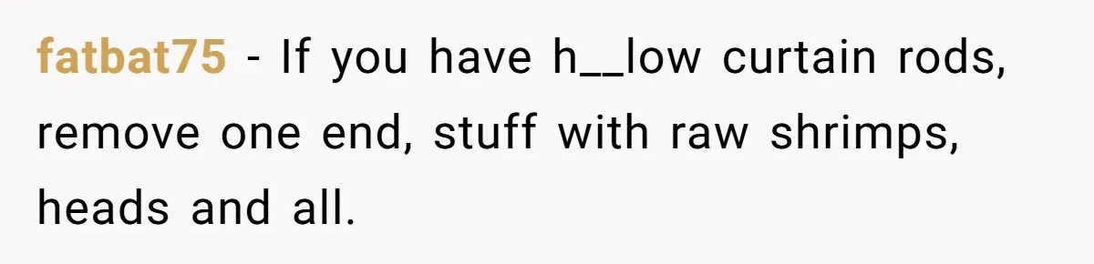 fatbat75 − If you have h__low curtain rods, remove one end, stuff with raw shrimps, heads and all.