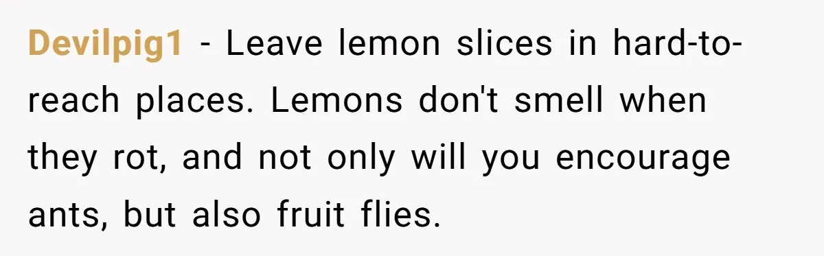 Devilpig1 − Leave lemon slices in hard-to-reach places. Lemons don't smell when they rot, and not only will you encourage ants, but also fruit flies.