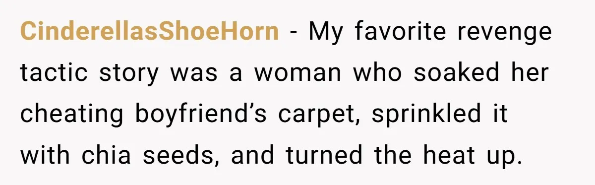 CinderellasShoeHorn − My favorite revenge tactic story was a woman who soaked her cheating boyfriend’s carpet, sprinkled it with chia seeds, and turned the heat up.
