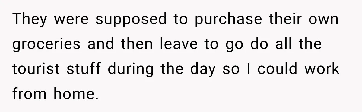 Brother Forces Family Vacation Change Then Faces Unexpected Home Discomfort They were supposed to purchase their own groceries and then leave to go do all the tourist stuff during the day so I could work from home.