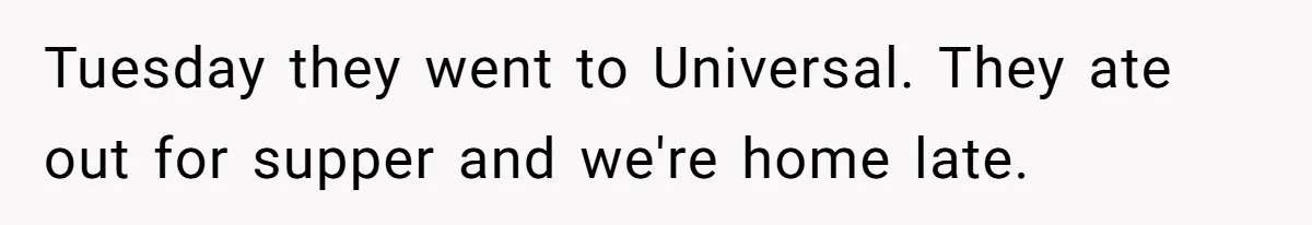 Brother Forces Family Vacation Change Then Faces Unexpected Home Discomfort Tuesday they went to Universal. They ate out for supper and we're home late.