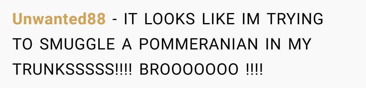 Brother Forces Family Vacation Change Then Faces Unexpected Home Discomfort Unwanted88 − IT LOOKS LIKE IM TRYING TO SMUGGLE A POMMERANIAN IN MY TRUNKSSSSS!!!! BROOOOOOO !!!!